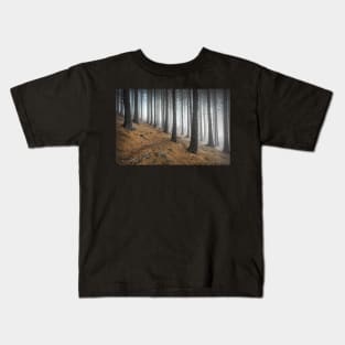 Misty spruce trees with a path Kids T-Shirt